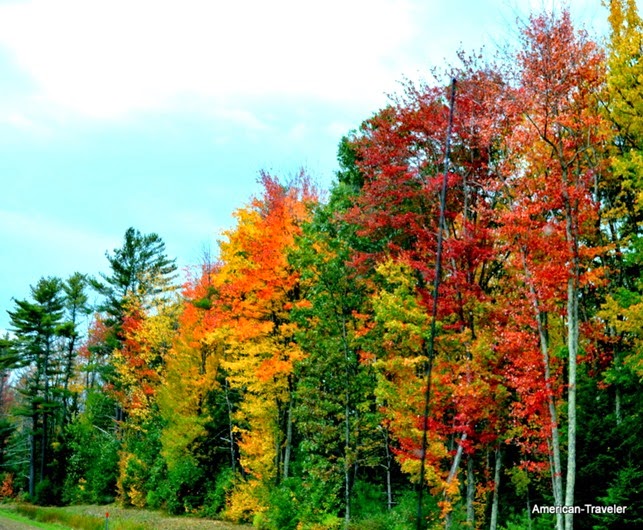 DSC_0164 DSC_0164