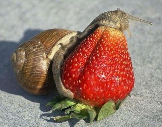 [viral-picdump-pics-8%255B2%255D.jpg]