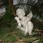 DSC06491.JPG