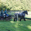 2009 100.jpg