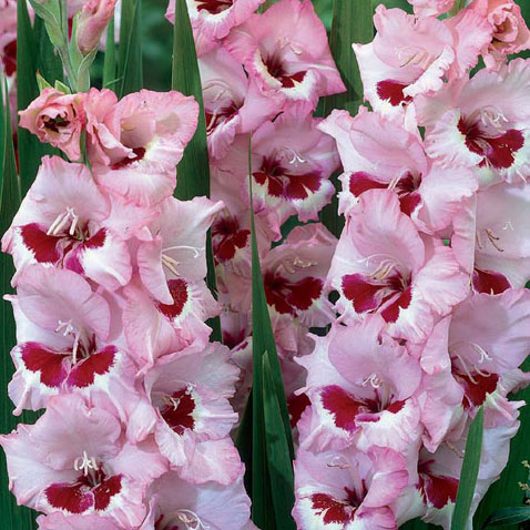 [image%255B48%255D.png]