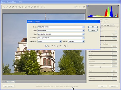 camera_raw_workflow_options camera_raw_workflow_options