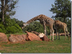DSCN2095