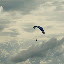 The clouds didn't do a bad job either!