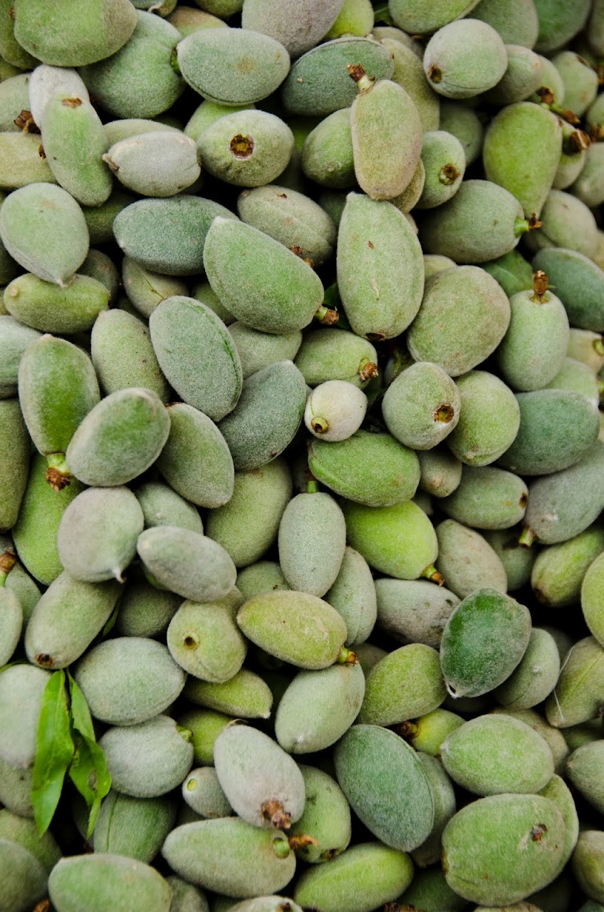 Green almonds