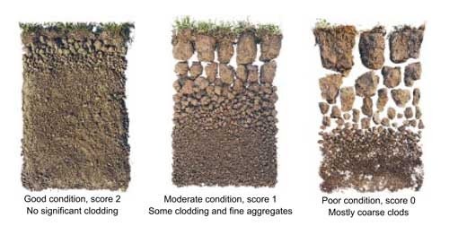 [71-soils-test-pic4%255B2%255D.jpg]