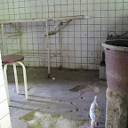 IMG_5445.JPG