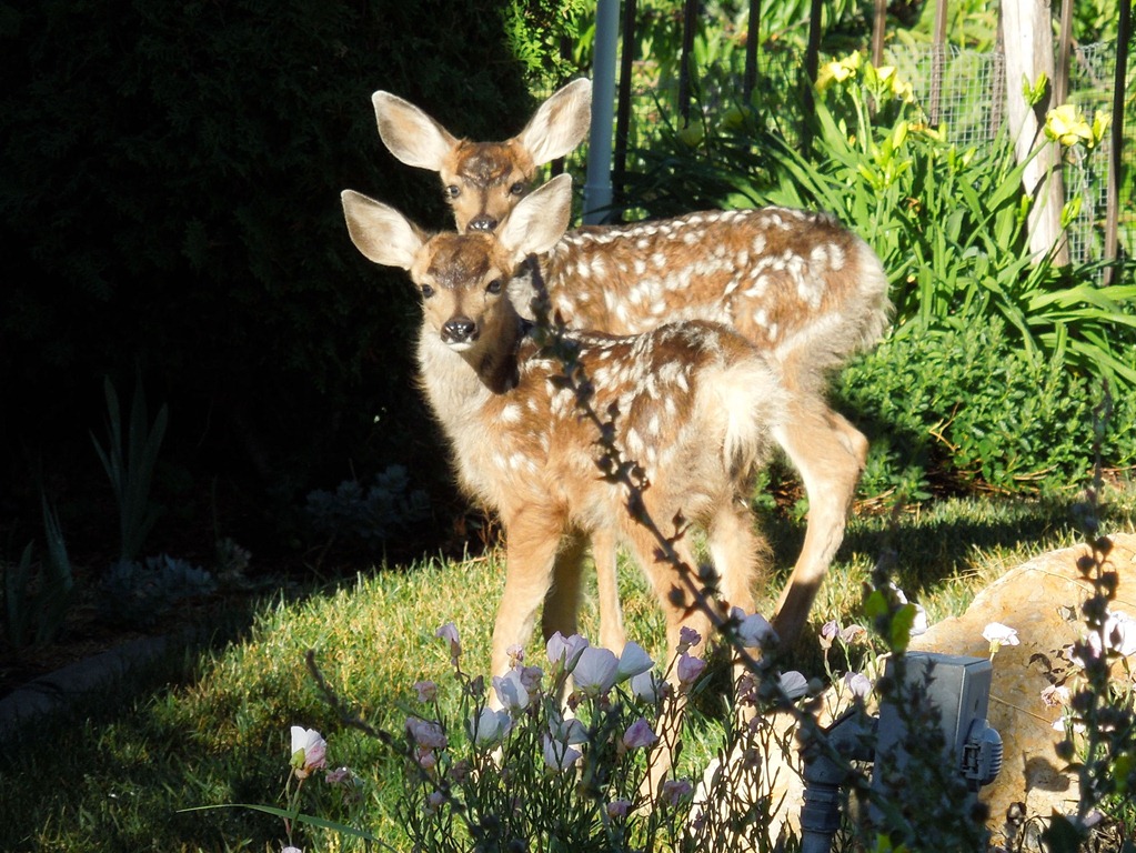 [DSCN2535%255B3%255D.jpg]