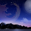 firefox (13).jpg