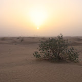 IMG_5265.JPG