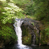 Nice Small Waterfall