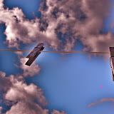 "Ambitious of Blue Sky" - copyright Katelynn Bek