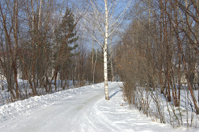 DSC_0166.jpg