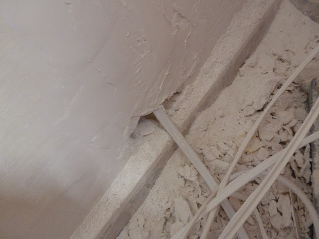 P1000043.JPG