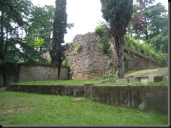 IMG_0809 IMG_0809