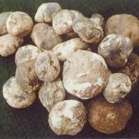 [cucina%2520bolivianaChuno_negro_medium%255B4%255D.jpg]