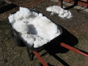 watering the garden with our snow reserves