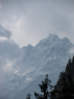 IMG_1464.JPG