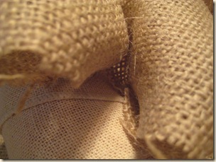 IMG_3679 IMG_3679