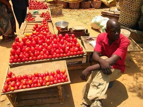 [biashara-1%255B3%255D.jpg]