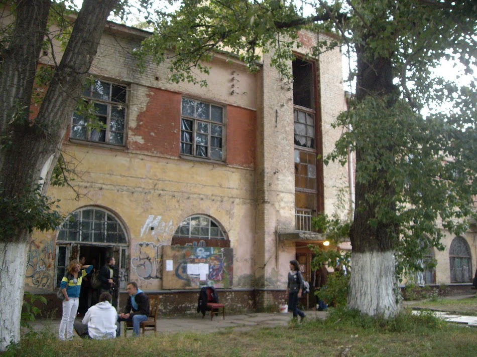 IMGP9477.JPG