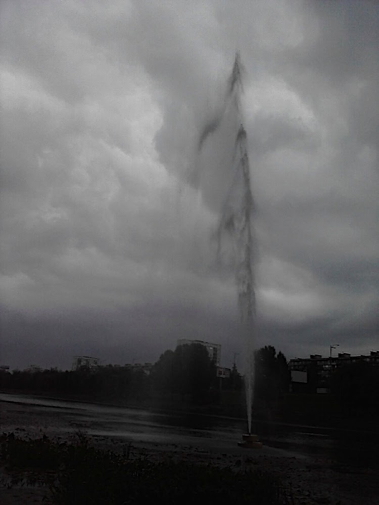 P200811_12.16.jpg