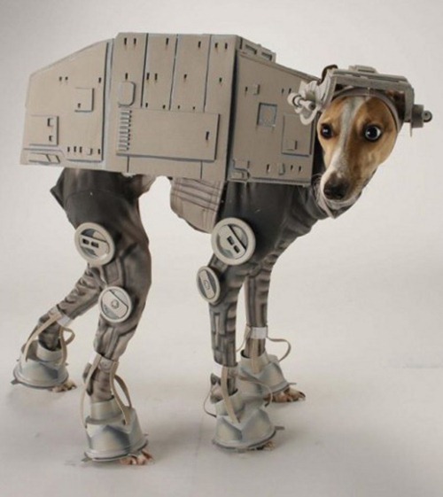 dog-at-at-costume