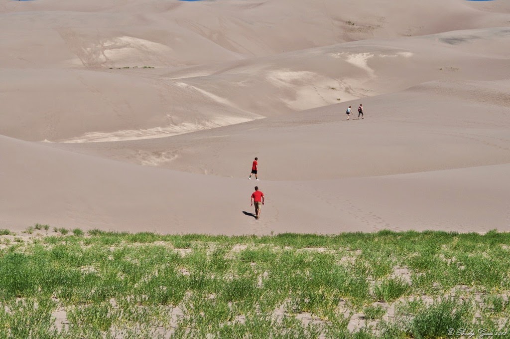 [07-06-14-Great-Sand-Dunes-303.jpg]