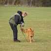 DSC04209.JPG