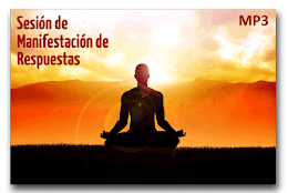 Descargar Sesion de Manifestacion de Respuestas, Eric Amidi