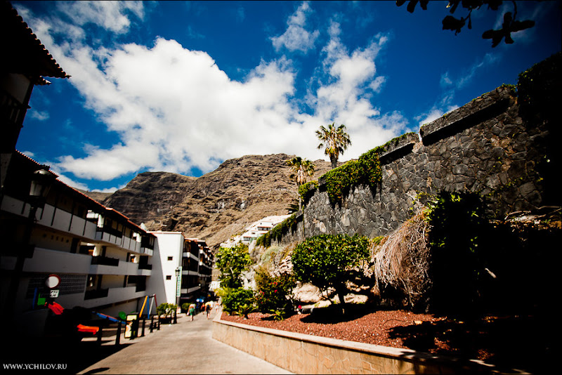 033 www.ychilov.ru foto tenerife.jpg