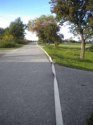 DSCN4585.JPG