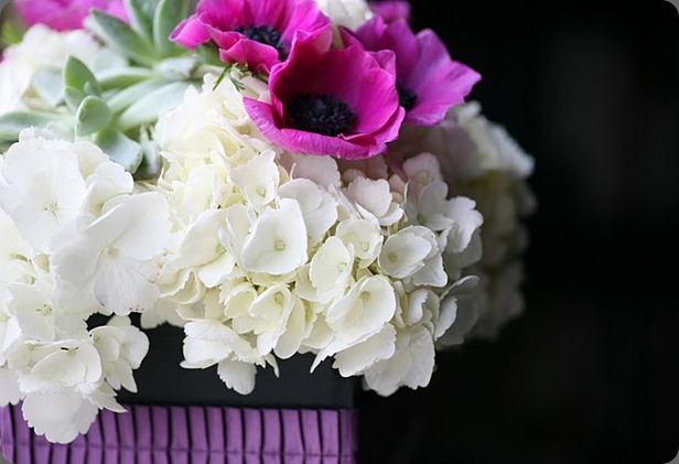 fleurology and diana marie photography fleurology and diana marie photography