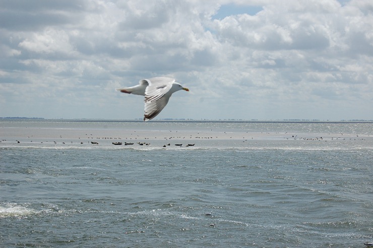 DSC_0442 DSC_0442
