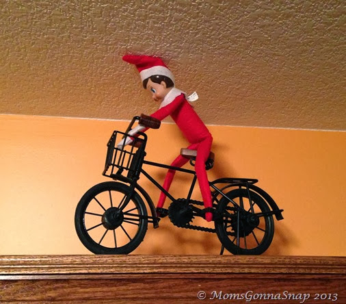 Elf on the Shelf by MomsGonnaSnap (10)