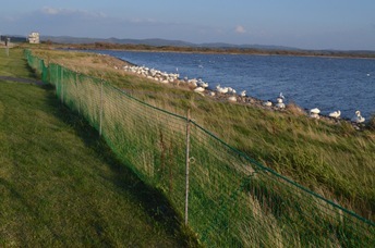 2011-10-10 Wakkanai 076