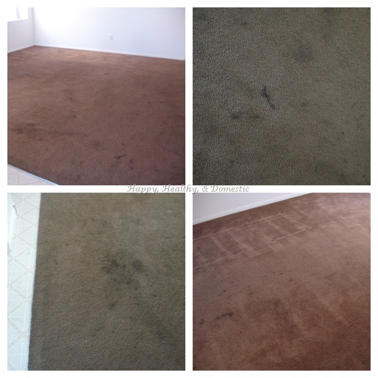 [Living-Room-Carpet-Before3.jpg]