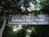DSC05421.JPG