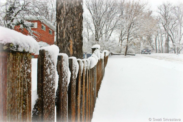 Snow3.jpg Snow3.jpg
