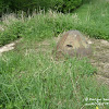 dsc06624.jpg