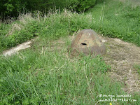 dsc06624.jpg