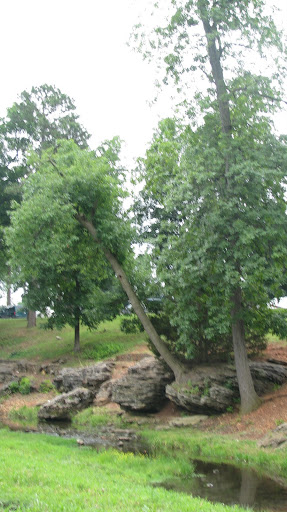 Remnants of an old walkway that runs beside Fassnight Creek. (Photo by: Kenrick Nobles)
