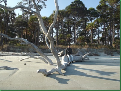 Ocean front walk 139