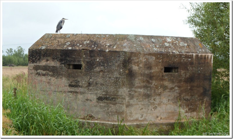 SAM_1272 Nother Pillbox