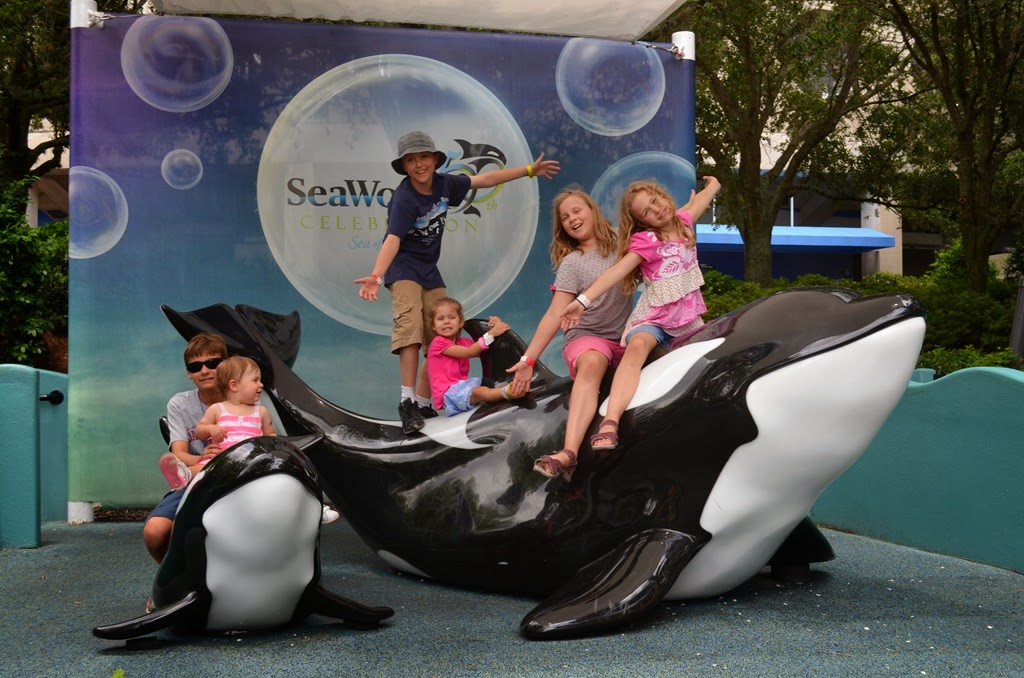 [DSC_8433%255B3%255D.jpg]