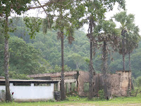 DSCN0077.JPG