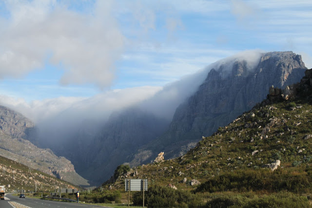 IMG 1557 South Africa 2010 – Photos