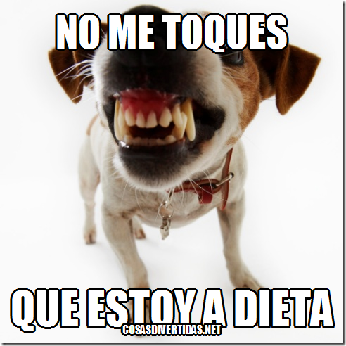 a dieta r a dieta r