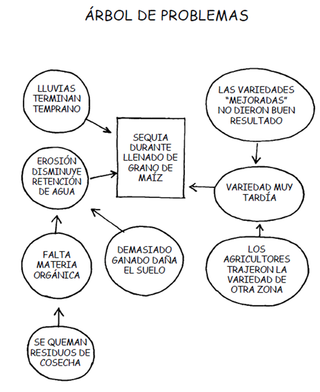 Ejemplo de árbol de problemas Arbol de problemas