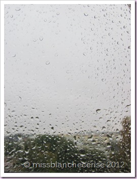 IMG_4833 IMG_4833